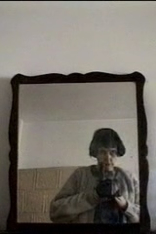 Looking for Vera Bardos (1995) poster