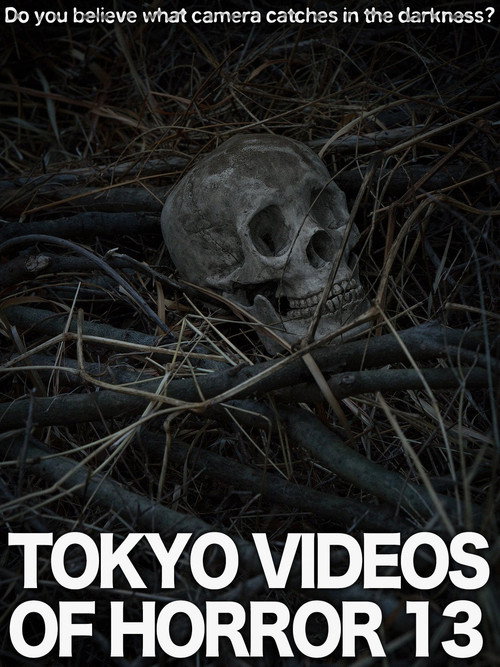 Tokyo Videos of Horror 13 (2015) poster