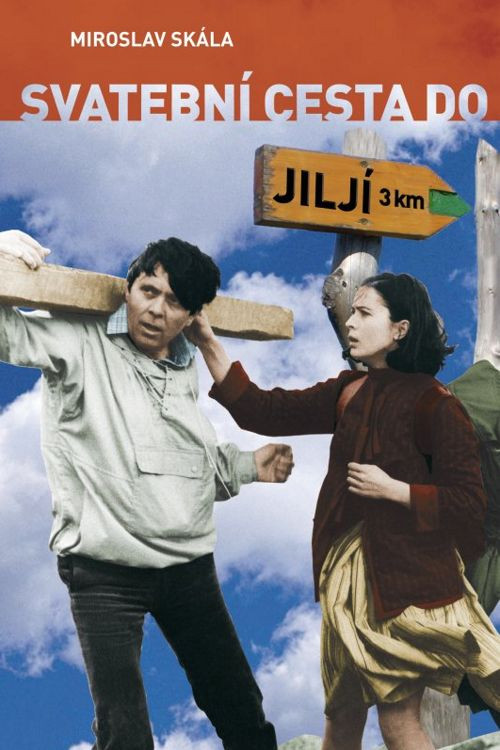 Bridal Tour to Jilji (1984) poster