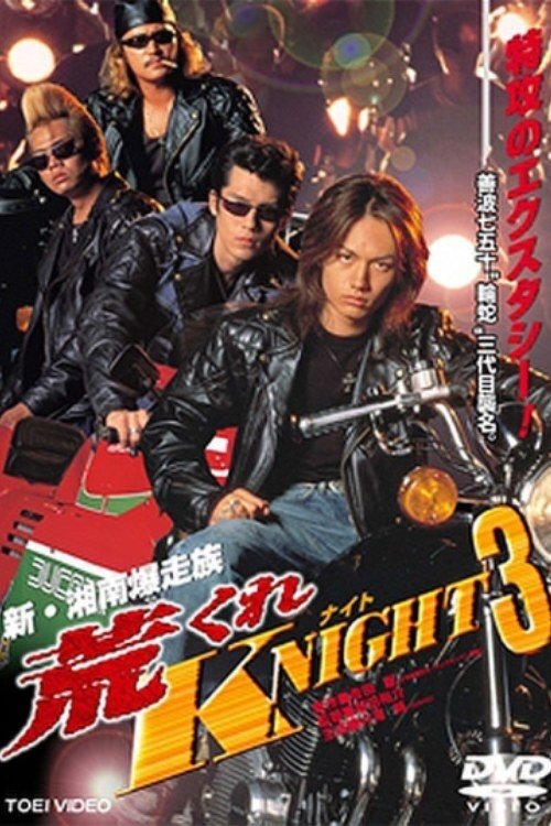 Rough KNIGHT 3 (1999) poster