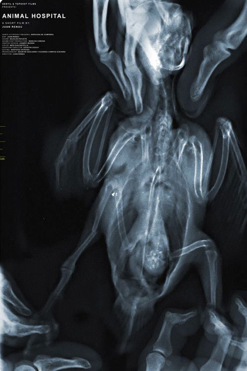 Animal Hospital (2023) poster