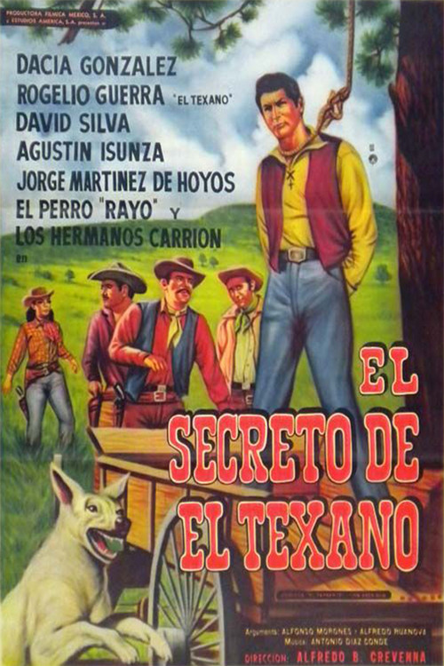 El secreto del texano (1965) poster