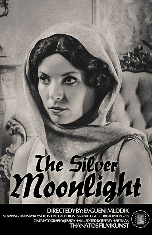 The Silver Moonlight (2015) poster