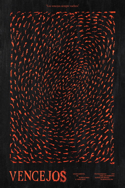 Vencejos (2025) poster