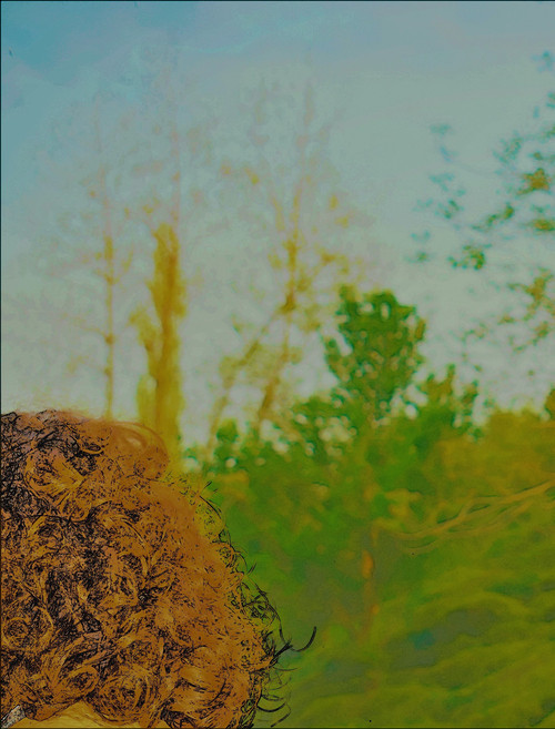 The Tavern of Ruin (2025) poster