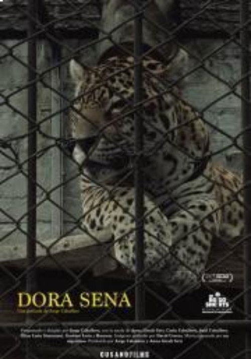 Dora Sena (2020) poster