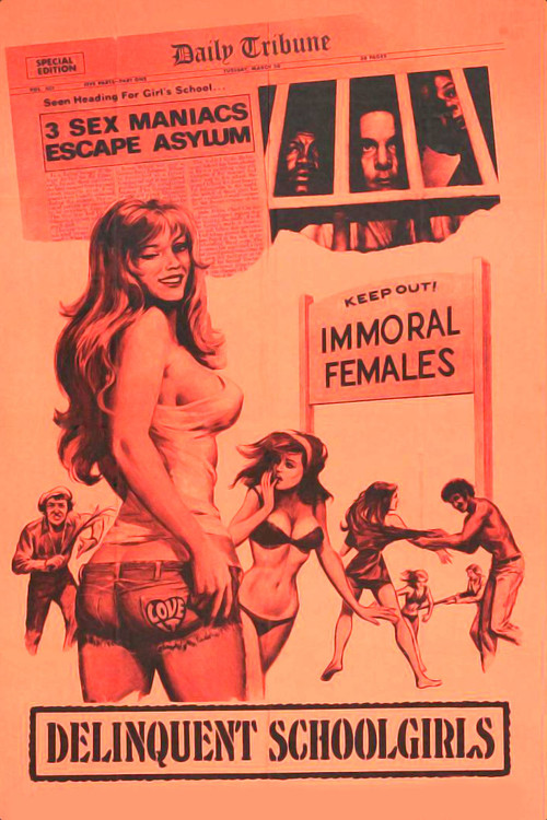 Delinquent Schoolgirls (1975) poster