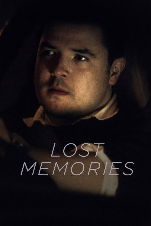 Lost Memories (2017) poster