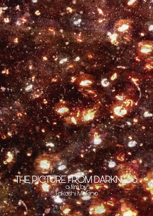 The Picture from Darkness (2016) poster