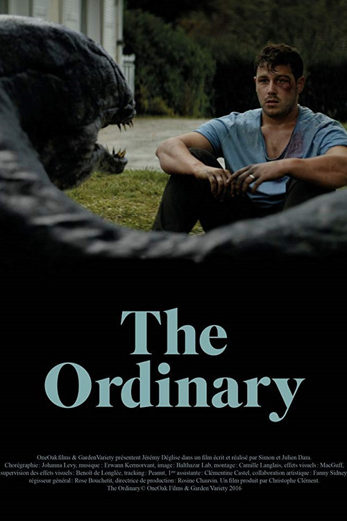 The Ordinary (2016) poster