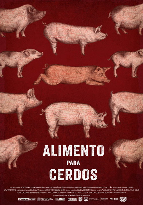 Alimento para cerdos poster