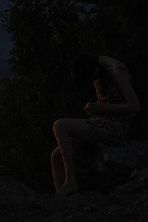 Litania (2011) poster