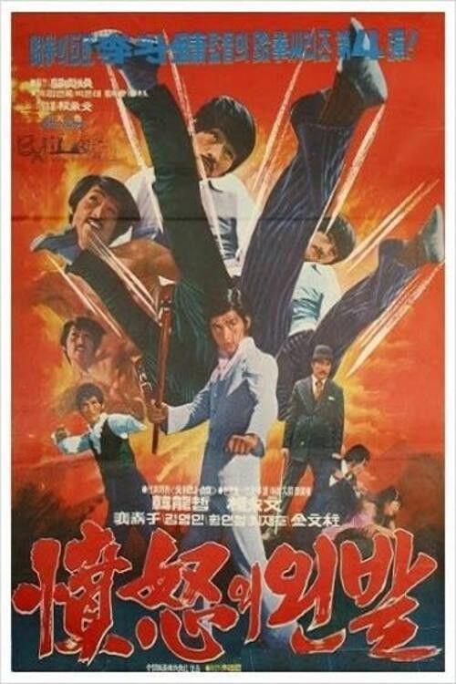 분노의 왼발 (1974) poster
