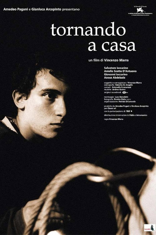 Tornando a casa (2001) poster