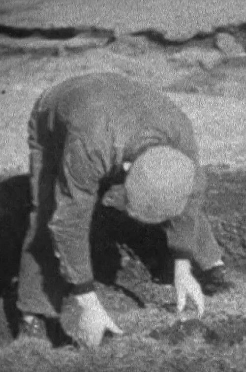 SCENES FROM A SHETLAND CROFT LIFE (1932) poster