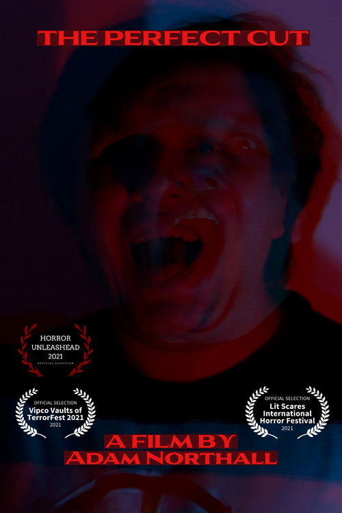 The Perfect Cut (2021) poster