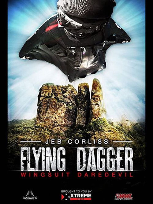 Flying Dagger (2014) poster
