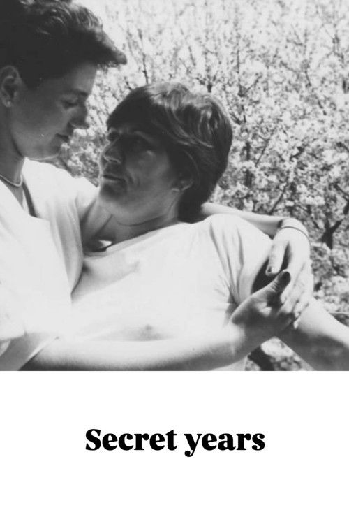 Eltitkolt évek (2009) poster
