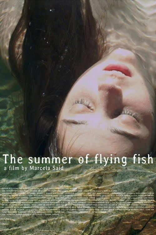 The Summer of Flying Fish (2013) poster