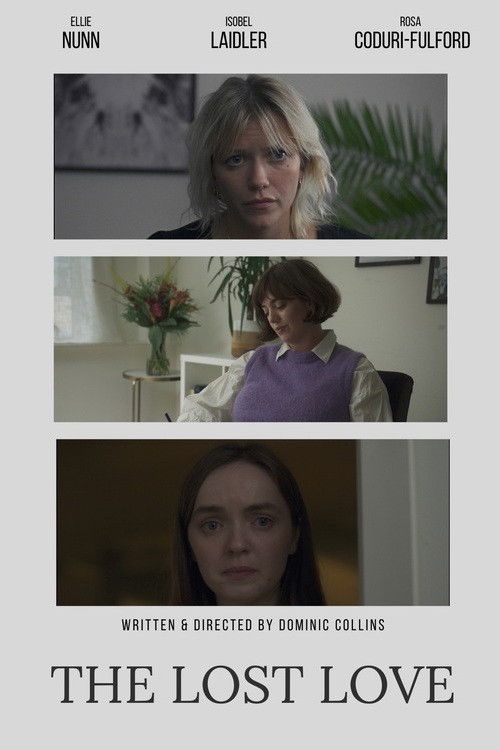 The Lost Love (2024) poster