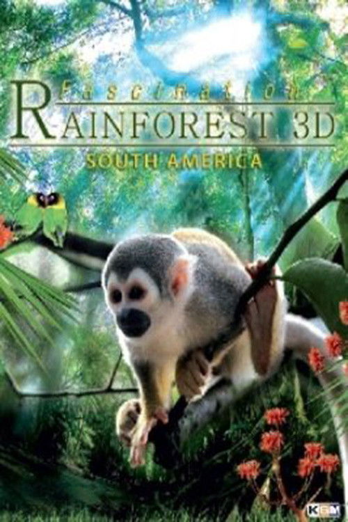 Fascination Rainforest 3D (2012) poster