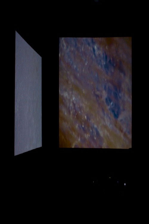 Wildness of Waves (2018) poster