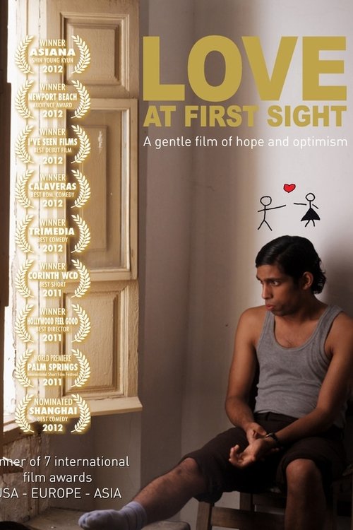 Love at First Sight (2012) poster