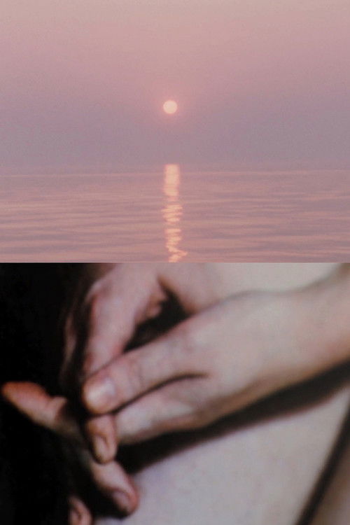 The Man from Hong Kong (2015) poster