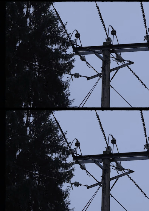 Messages From Home (2021) poster