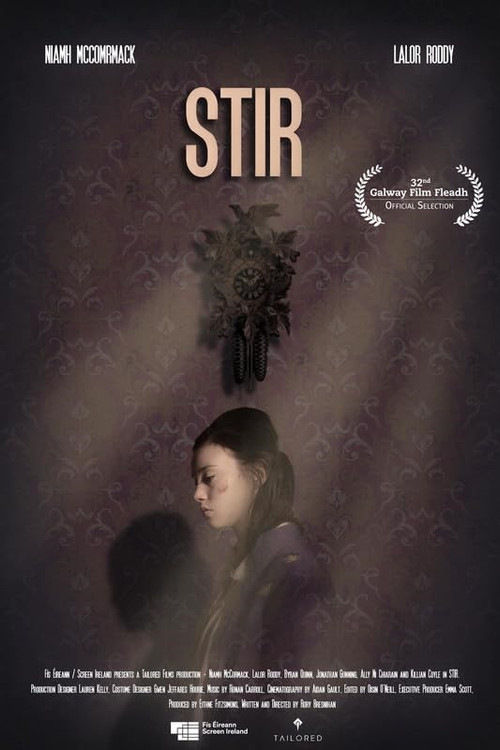 Stir (2020) poster