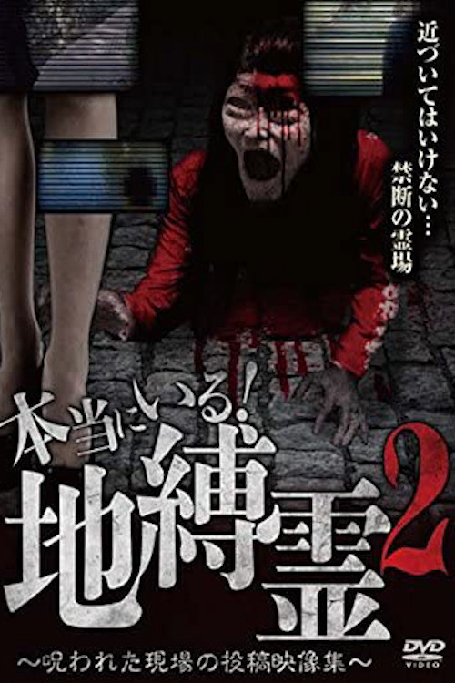 They Really Exist! Earthbound Spirits 2 - Cursed Scene Submitted Video Collection (2016) poster