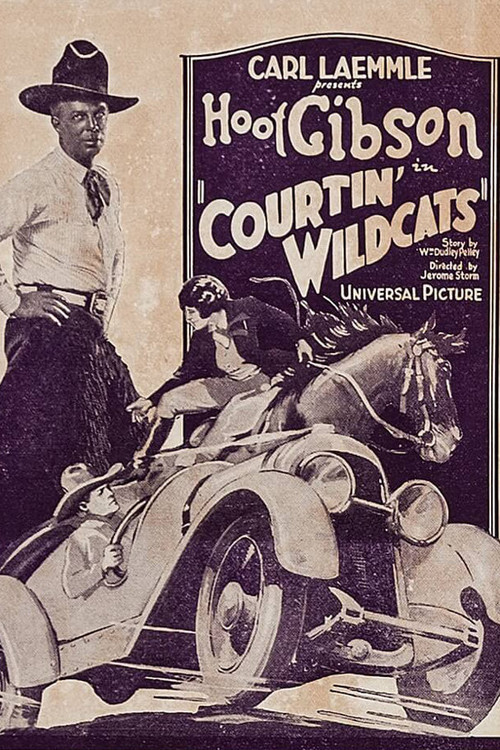 Courtin' Wildcats (1929) poster