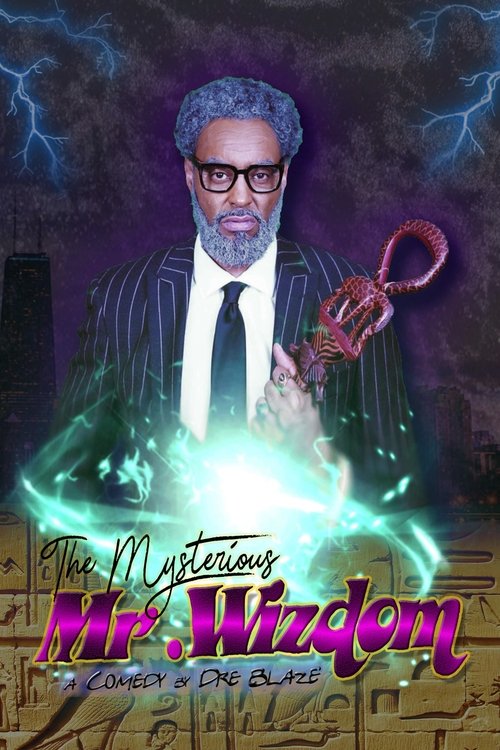 The Mysterious Mr. Wizdom (2020) poster