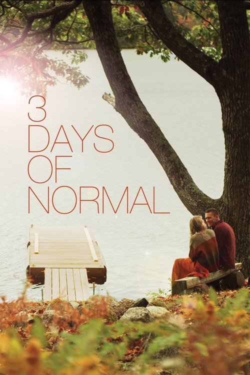 3 Days of Normal (2012) poster
