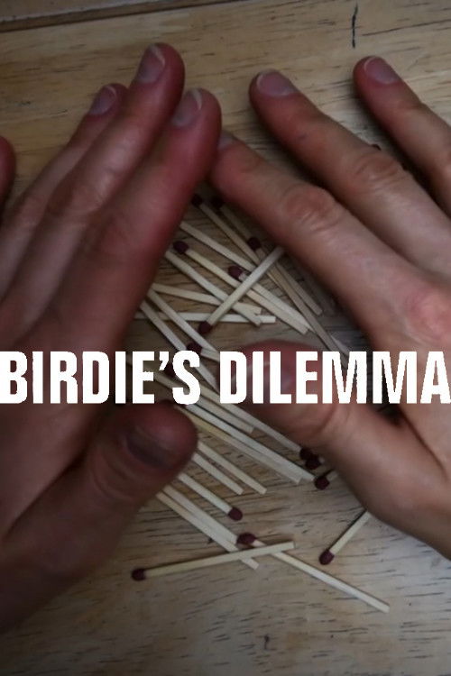 Birdie's Dilemma (2020) poster