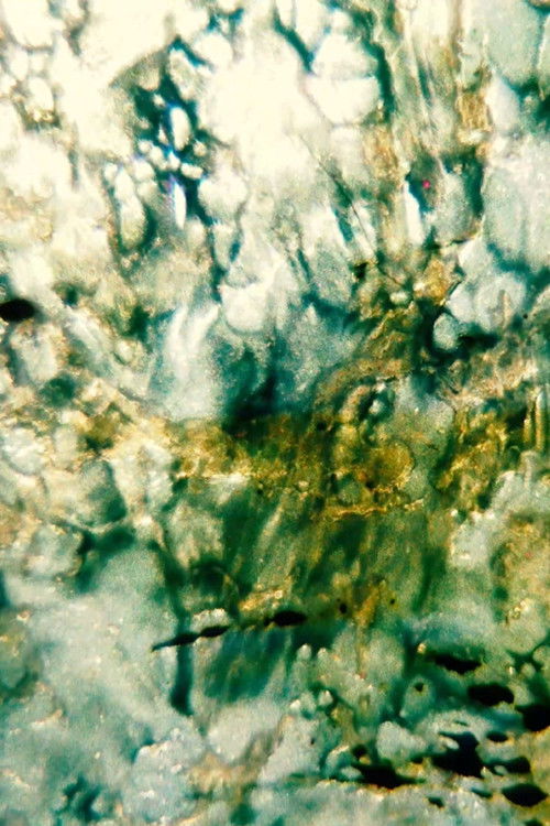 O Quarteto de Dante (2023) poster