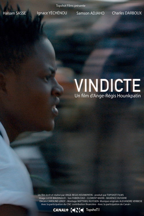 Vindicte (2016) poster