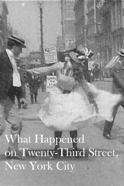 What Happened on Twenty-Third Street, New York City (1901) poster