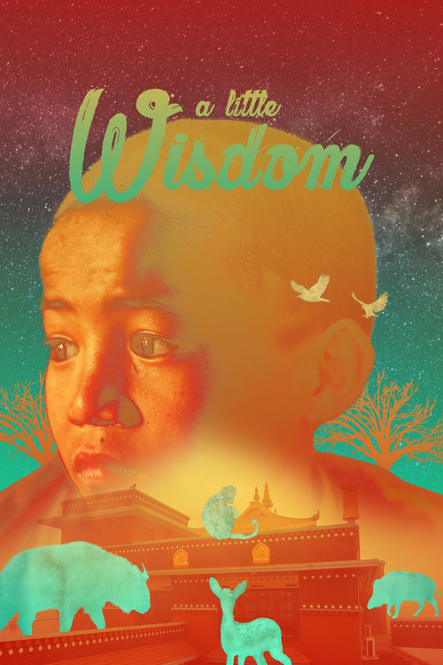 A Little Wisdom (2017) poster