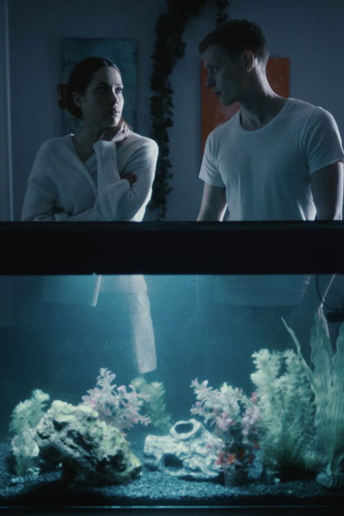 Ascertaining (2022) poster