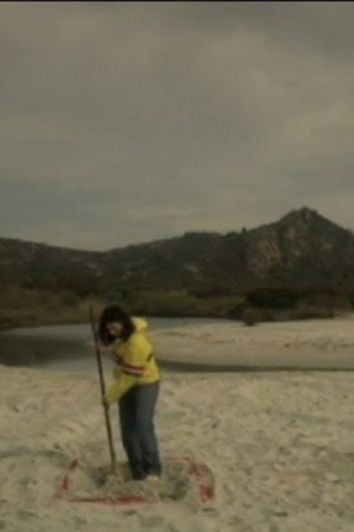 Why We Came (2006) poster