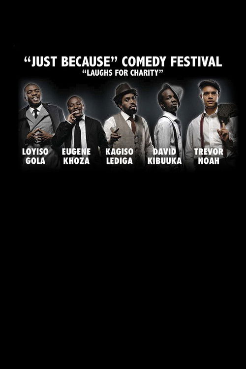 Just Because Comedy Festival (2013) poster