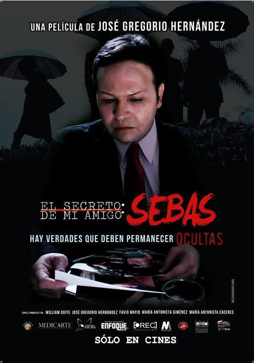 El secreto de mi amigo Sebas (2016) poster