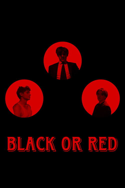 Black or Red (2024) poster
