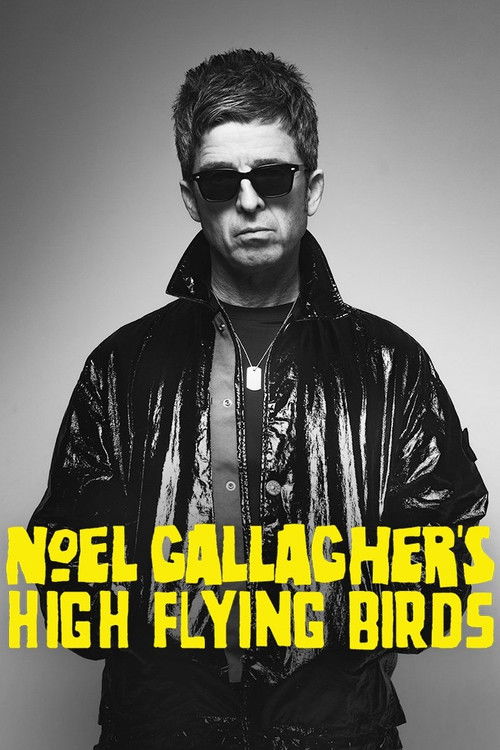 Noel Gallagher's High Flying Birds en concert au Zénith de Paris (2023) poster