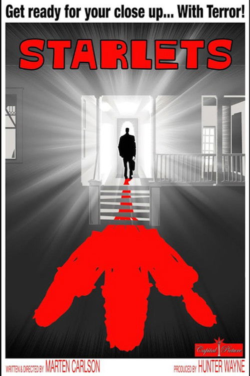 Starlets (2018) poster
