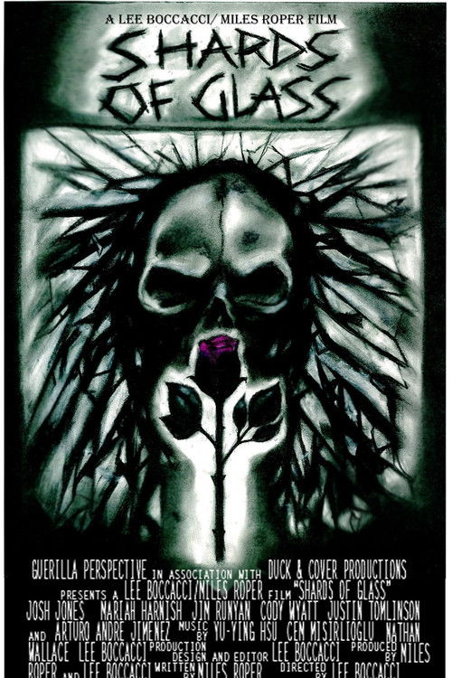 Shards of Glass (2009) poster