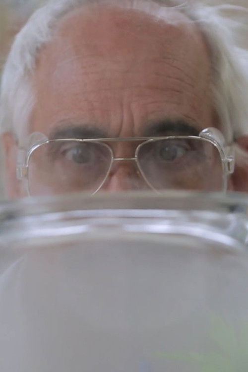 Fog: Fact or Fiction? (2014) poster