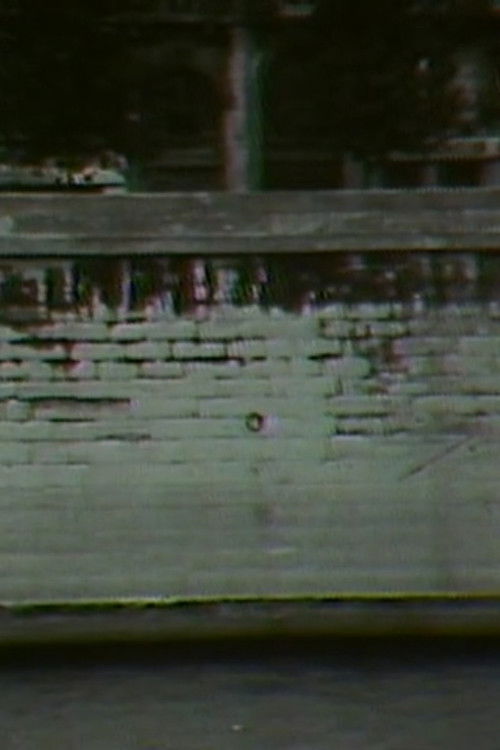 Bridge Film (1981) poster