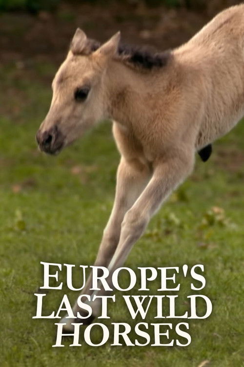 Europe's Last Wild Horses (2012) poster